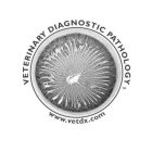 VETERINARY DIAGNOSTIC PATHOLOGY WWW.VETDX.COMX.COM