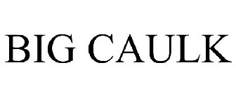 Image for trademark with serial number 97900073