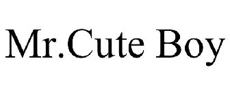 MR.CUTE BOY