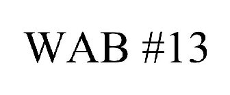 WAB #13