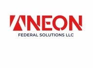 ANEON FEDERAL SOLUTIONS LLC
