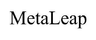 METALEAP