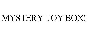 MYSTERY TOY BOX!