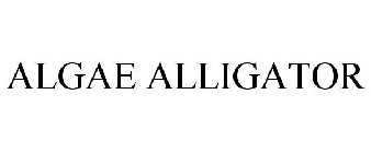 ALGAE ALLIGATOR