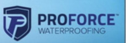 PF PROFORCE WATERPROOFING