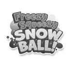 FREEZY SQUEEZY SNOW BALL!