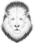 Image Trademark