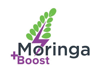 MORINGA BOOST