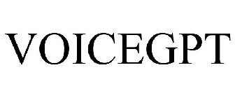 VOICEGPT