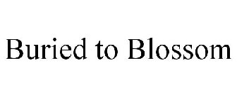 BURIED TO BLOSSOM