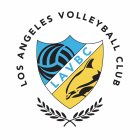 LOS ANGELES VOLLEYBALL CLUB L A V B C
