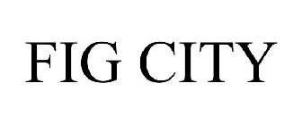 FIG CITY