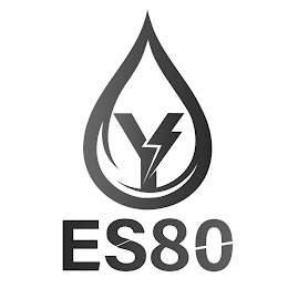 Y ES80