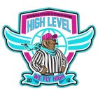 HIGH LEVEL EXECUTIVE COACHING WE FLY HIGH 2012
