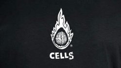 CELLS