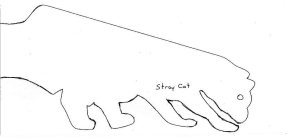 STRAY CAT