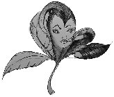Image Trademark