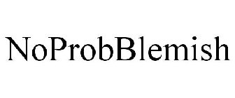 NOPROBBLEMISH