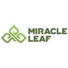 MIRACLE LEAF