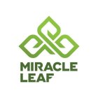 MIRACLE LEAF