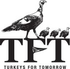 TFT TURKEYS FOR TOMORROW