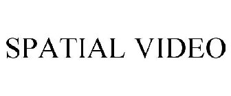 SPATIAL VIDEO