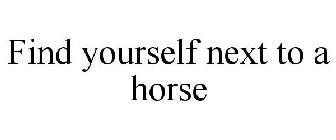 FIND YOURSELF NEXT TO A HORSE