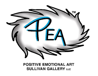 PEA POSITIVE EMOTIONAL ART SULLIVAN GALLERY LLCERY LLC