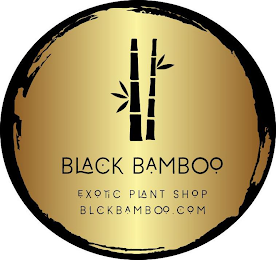 BLACK BAMBOO EXOTIC PLANT SHOP BLCKBAMBOO.COMO.COM