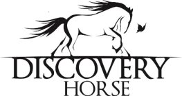 DISCOVERY HORSE