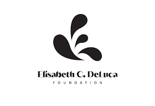 ELISABETH C. DELUCA FOUNDATION