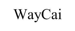 WAYCAI