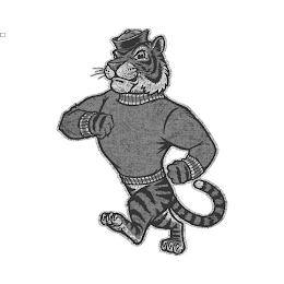 Image Trademark