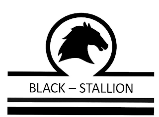 BLACK - STALLION