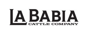 LA BABIA CATTLE COMPANY