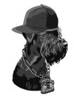 STREET DOG GANGSTER