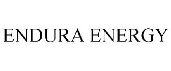 ENDURA ENERGY