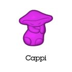 CAPPI