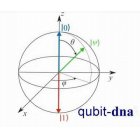 QUBIT-DNA
