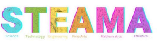 STEAMA SCIENCE TECHNOLOGY ENGINEERING FINE ARTS MATHEMATICS ATHLETICS