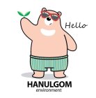 HELLO HANULGOM ENVIRONMENT