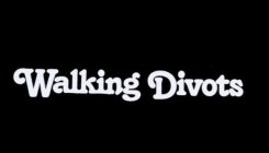 WALKING DIVOTS