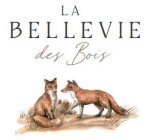 LA BELLEVIE DES BOIS