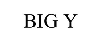 BIG Y