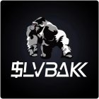 $LVBAKK