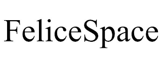 FELICESPACE