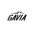 GAVIA