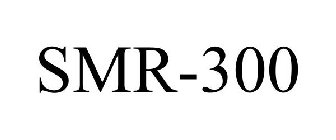 Image for trademark with serial number 98275527