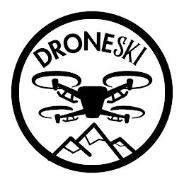 DRONESKI