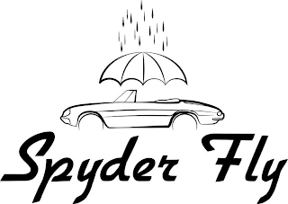 SPYDER FLY